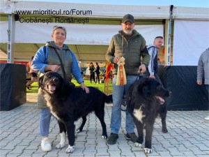 IMG_5756.jpeg