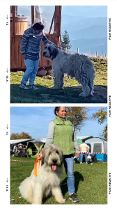 IMG_1729961328904.png