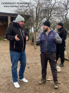 Cosmin Ungureanu, Dorian Fășie, Samuel Bar, Oliviu Secara, Fășie Dinu discutând despre Ciobăneștii Carpatini vizualizați