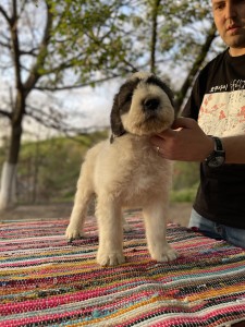 B0F27C01-EBE9-4683-B8E3-E87C6DE20282.jpeg