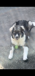 IMG_0438.png
