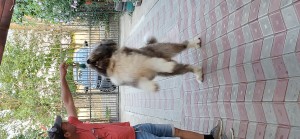 20250820_195516.jpg