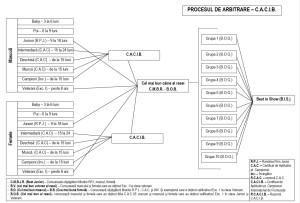 proces de arbitrare cacib.jpg (203.82 KiB) Viewed 1941 times Proces de arbitrare la expozitii internationale de tip CACIB