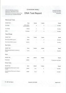 ARINA DIN ZESTREA STÂNELOR - Wisdom Panel - MyDogDna - DNA Test Report