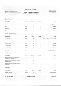 ARINA DIN ZESTREA STÂNELOR - Wisdom Panel - MyDogDna - DNA Test Report