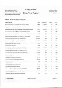 ARINA DIN ZESTREA STÂNELOR - Wisdom Panel - MyDogDna - DNA Test Report