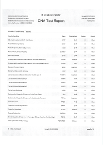 ARINA DIN ZESTREA STÂNELOR - Wisdom Panel - MyDogDna - DNA Test Report