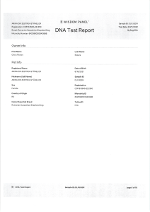 ARINA DIN ZESTREA STÂNELOR - Wisdom Panel - MyDogDna - DNA Test Report