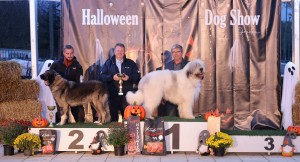 Bruma din Zestrea Stânelor &amp; Franco Hera-s puppy