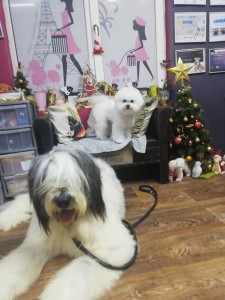buru paula.jpg