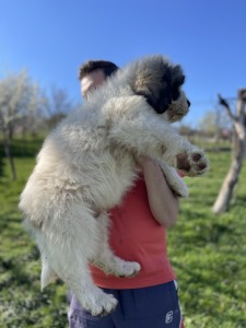 92DF41CA-3B00-41E3-A027-290633F21E87.jpeg
