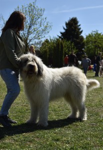 DSC_0446.jpg