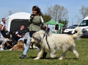 DSC_0396.jpg