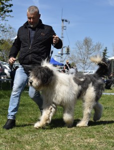 DSC_0399.jpg