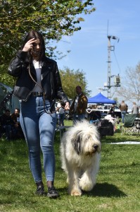 DSC_0434.jpg
