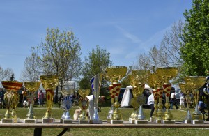 DSC_0061.jpg