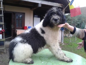 Fotografie-0405.jpg