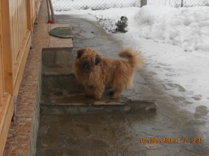 DSCN1872.JPG