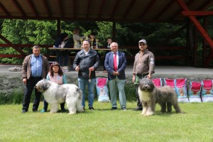 FB_IMG_1780464316790.jpg