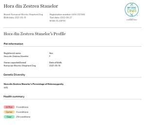 Hora din zestrea stanelor genetic test dna wisdom.jpg