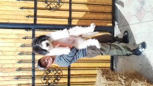 IMG_20260913_160648.jpg