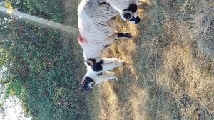 IMG_20260920_105416_HDR.jpg