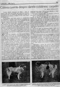 Revista Carpații, numărul 9, 15 Septembrie 1936, chinologul Mihai Moșandrei pag 241