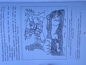 IMG_6285.jpeg
