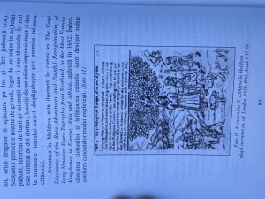 IMG_6289.jpeg