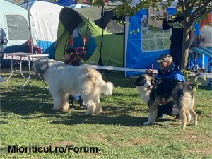 IMG_6579.jpeg