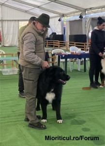 IMG_6590.jpeg