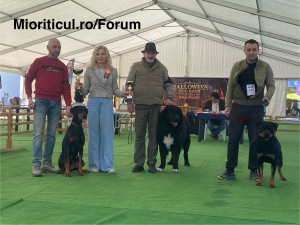 IMG_6592.jpeg