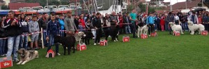 expo pastorala Rucar17.jpg