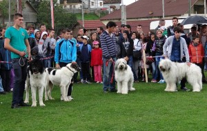 expo pastorala Rucar15.jpg
