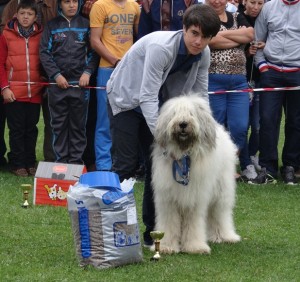 expo pastorala Rucar21.jpg