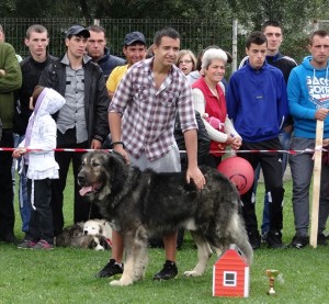 expo pastorala Rucar18.jpg