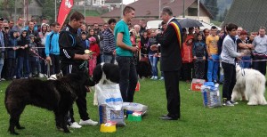 expo pastorala Rucar22.jpg