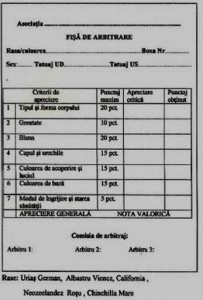fisa arbitraj iepuri.jpg