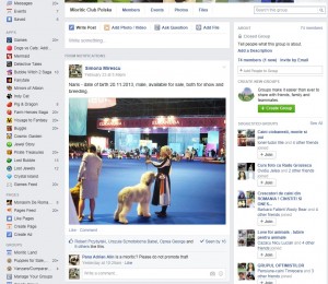 FB.jpg