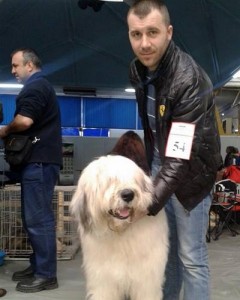 Pregatiti sa intram in ring la C.A.C.I.B ,deasemenea si aicea am luat calificativul EXCELENT I B.O.B .